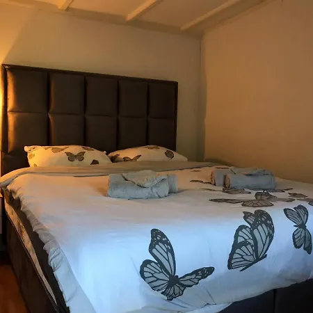 Vrijstaand Chalet Met Prive Hottub פורטהאוזן